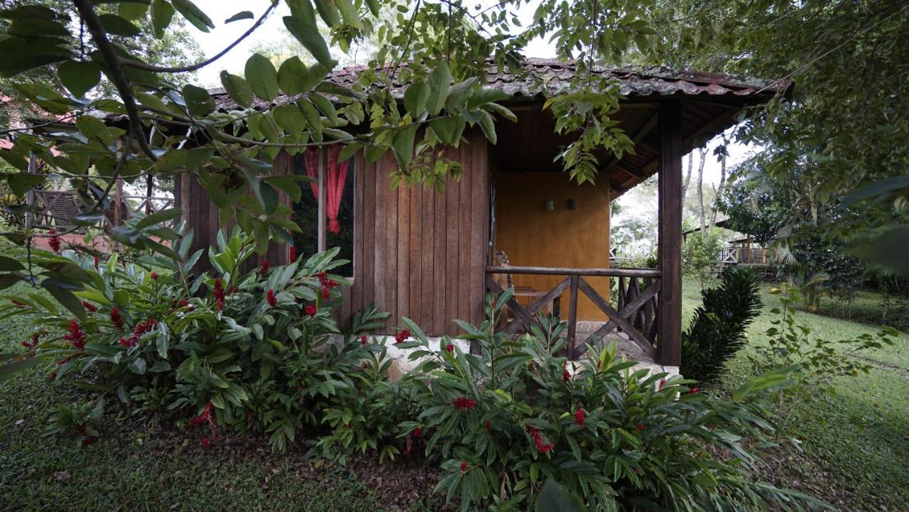 Cabañas Toniná Kayab Ocosingo Exterior foto