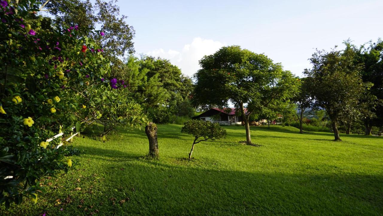 Cabañas Toniná Kayab Ocosingo Exterior foto