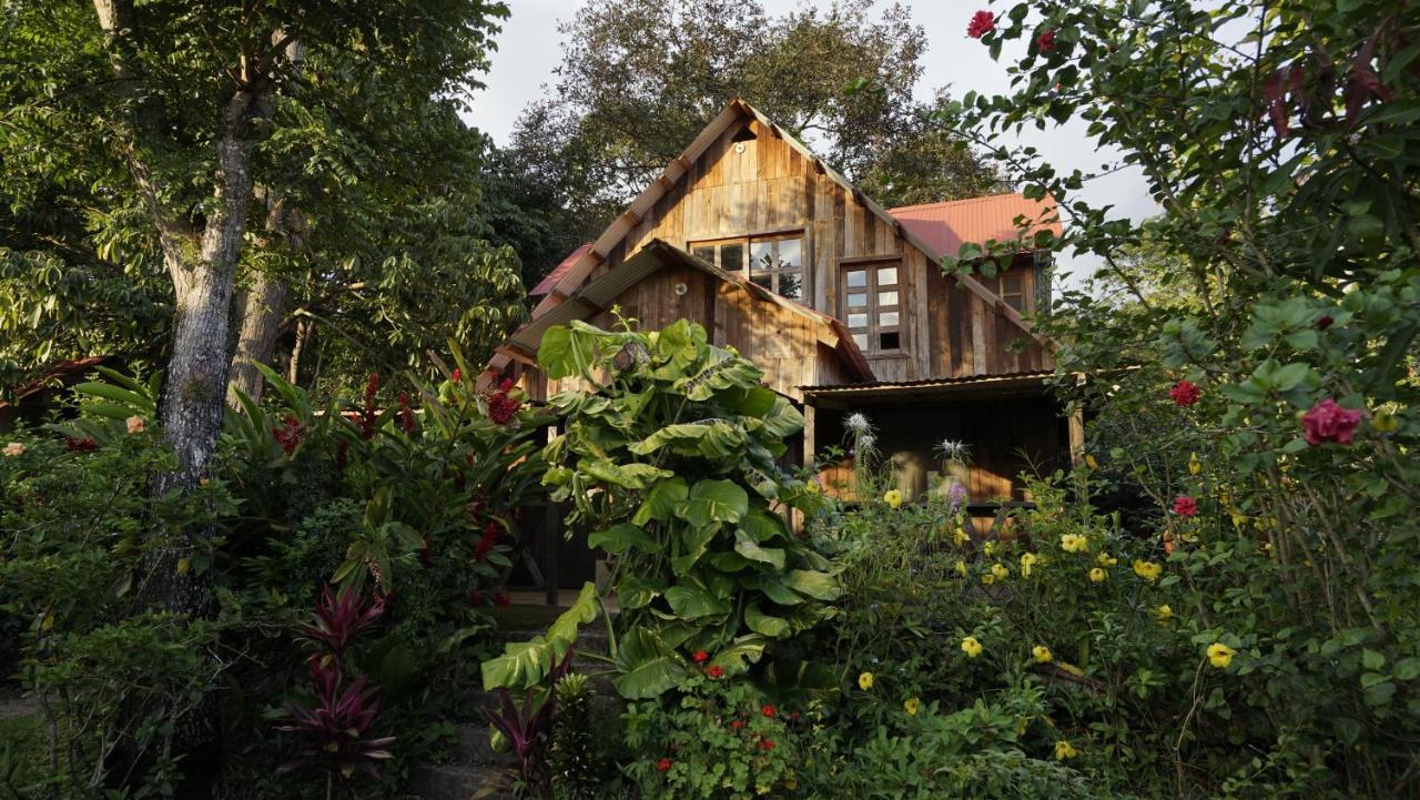Cabañas Toniná Kayab Ocosingo Exterior foto
