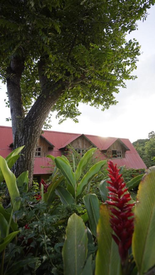 Cabañas Toniná Kayab Ocosingo Exterior foto