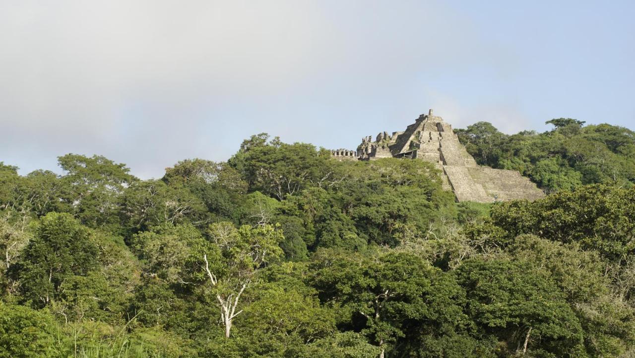 Cabañas Toniná Kayab Ocosingo Exterior foto